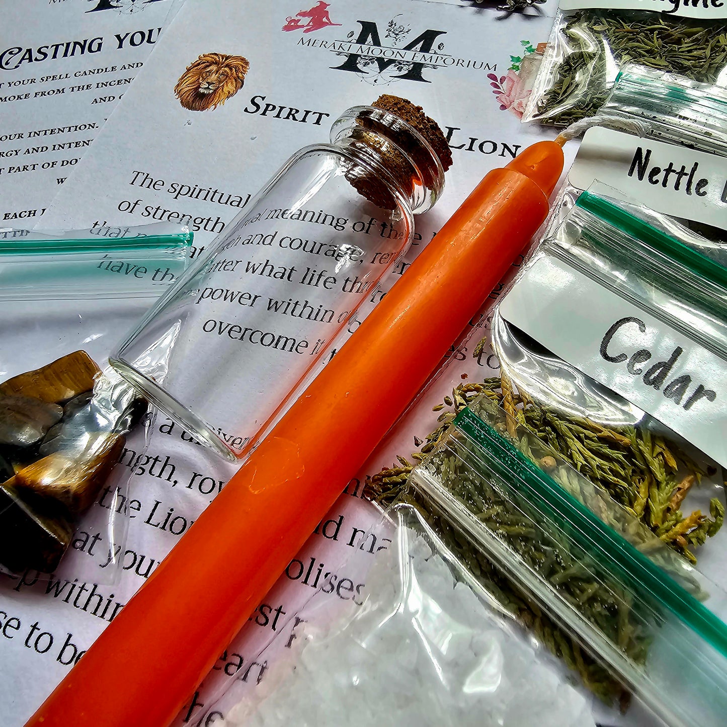 Spirit of the Lion Spell