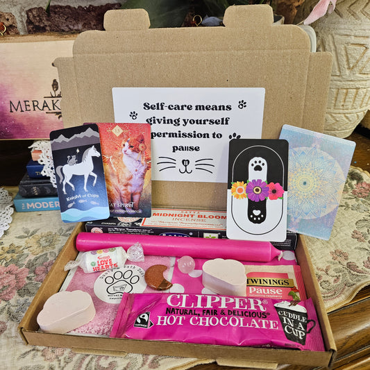 Dusty's Special Edition Paws Pack 🐾💌